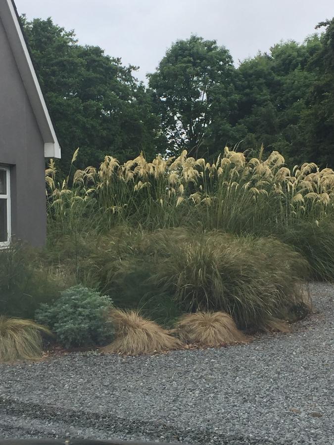 The Wendy Hoose Bed and Breakfast Nairn Exterior foto